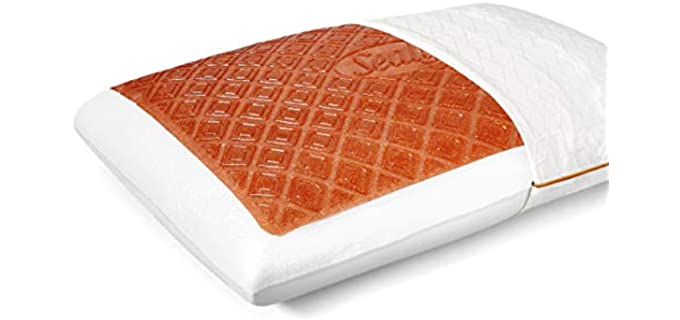 Sealy SealyChill - Copper Pillow
