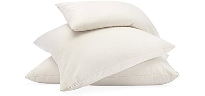 Buckwheat Pillow